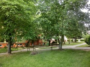 Prodej bytu 3+1, Uherské Hradiště, 68 m2
