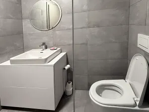 Prodej bytu 1+kk, Janov nad Nisou, 36 m2