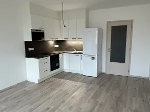 Pronájem bytu 1+kk, Písek, Pražská, 38 m2