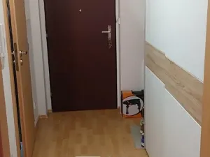 Pronájem bytu 1+kk, Tábor, Nad Řekou, 33 m2