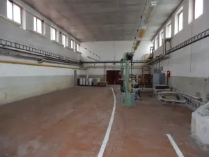 Prodej výrobních prostor, Červená Řečice, 12111 m2