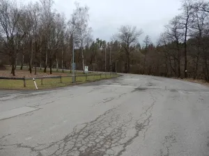Prodej výrobních prostor, Červená Řečice, 12111 m2