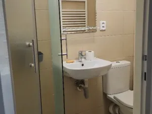 Pronájem bytu 2+1, Česká, 55 m2