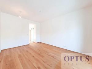 Pronájem bytu 2+kk, Praha - Podolí, Levá, 45 m2