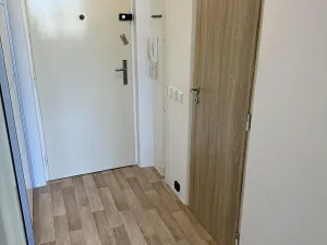 Pronájem bytu 1+kk, Brno, Halasovo náměstí, 25 m2