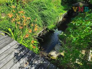 Prodej chaty, Mohelnice, 30 m2