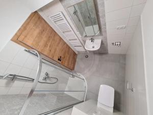Pronájem bytu 1+kk, Srubec, Do Mladého, 26 m2