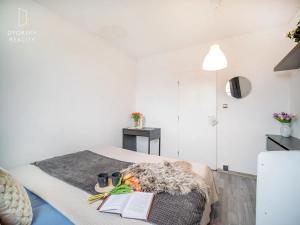 Prodej bytu 3+kk, Mladá Boleslav, Havlíčkova, 71 m2