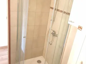 Pronájem bytu 1+1, České Budějovice, Puklicova, 40 m2