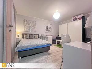 Pronájem bytu 1+1, Ostrava, Řecká, 33 m2