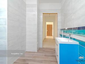 Prodej bytu 2+1, Janovice nad Úhlavou, Rozvojová zóna, 75 m2