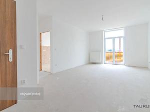 Prodej bytu 3+1, Janovice nad Úhlavou, Rozvojová zóna, 100 m2