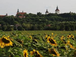 Prodej bytu 4+kk, Smečno, Hrdlívská, 82 m2