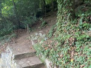 Prodej chaty, Slapy, 76 m2