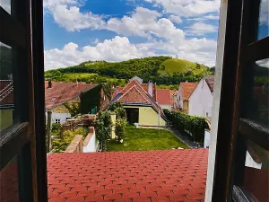 Prodej vinného sklepa, Mikulov, Na Jámě, 560 m2