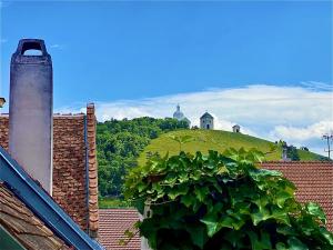 Prodej vinného sklepa, Mikulov, Na Jámě, 560 m2