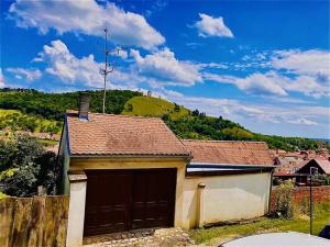 Prodej vinného sklepa, Mikulov, Na Jámě, 560 m2