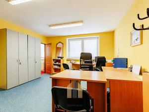 Prodej rodinného domu, Jihlava, U Slunce, 250 m2