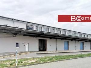 Pronájem skladu, Břeclav, Mládežnická, 3164 m2