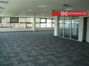 Pronájem kanceláře, Brno, 240 m2