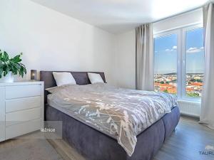 Pronájem bytu 2+kk, Plzeň, Stehlíkova, 73 m2