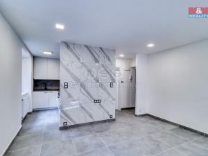 Pronájem bytu 2+kk, Plzeň - Východní Předměstí, Rychtaříkova, 28 m2
