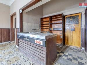 Prodej restaurace, Neurazy - Vojovice, 245 m2