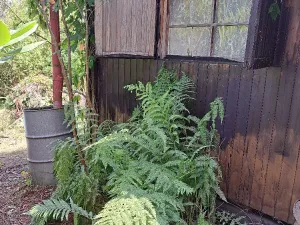 Prodej chaty, Mezina, 19 m2