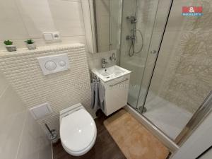 Pronájem bytu 1+kk, Jablonec nad Nisou, Máchova, 32 m2