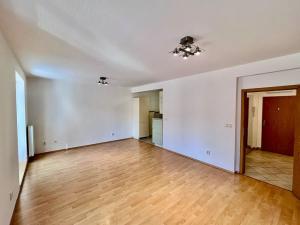 Pronájem bytu 1+kk, Brno, Lelkova, 45 m2