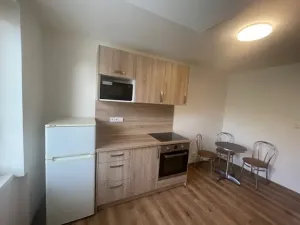 Pronájem bytu 1+1, Ústí nad Labem, Masarykova, 33 m2