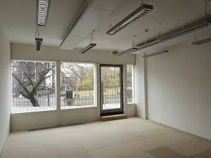 Pronájem restaurace, Praha - Nusle, Lomnického, 445 m2