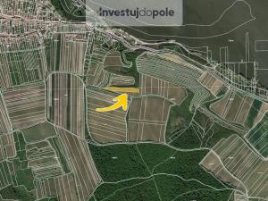 Prodej pozemku, Dolní Věstonice, 747 m2