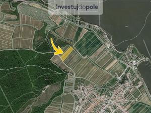 Prodej pozemku, Dolní Věstonice, 1767 m2