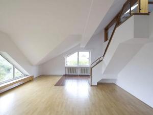 Pronájem bytu 6+kk a větší, Praha - Braník, Psohlavců, 300 m2