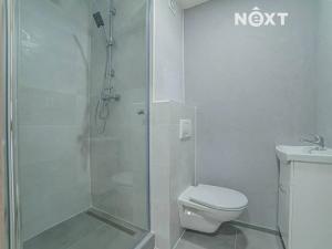 Pronájem bytu 1+1, Ostrava, Svojsíkova, 28 m2