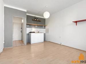 Pronájem bytu 1+kk, Ústí nad Labem, Hoření, 22 m2