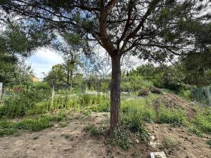 Prodej bytu 3+kk, Česká, 74 m2