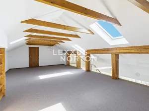 Pronájem bytu 6+kk a větší, Praha - Braník, Psohlavců, 290 m2