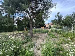 Prodej bytu 3+kk, Česká, 74 m2