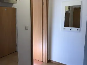 Pronájem bytu 2+kk, Olomouc, Wolkerova, 40 m2