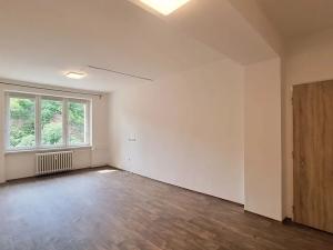 Pronájem bytu 2+1, Brno, Úvoz, 53 m2