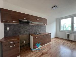 Pronájem bytu 3+1, Krupka, Dukelských hrdinů, 69 m2
