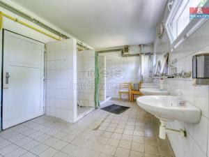 Pronájem garáže, Nepomuk - Dvorec, 378 m2