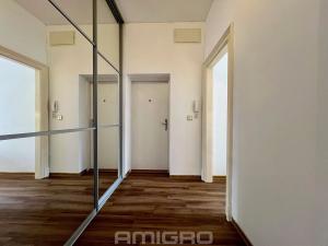Prodej bytu 1+1, Brno, Jugoslávská, 49 m2