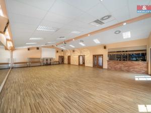 Pronájem restaurace, Letkov, Plzeňská, 645 m2