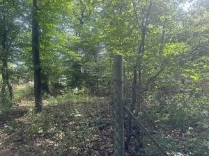 Prodej chaty, Dolní Břežany, 30 m2