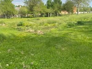 Prodej rodinného domu, Čelechovice, 640 m2