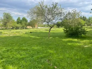 Prodej rodinného domu, Čelechovice, 640 m2