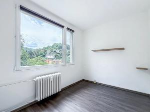 Prodej bytu 2+1, Ústí nad Labem, Kamenná, 53 m2